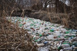 Правительство Румынии предоставит грант в 10 миллионов евро на очистку и благоустройство реки Бык