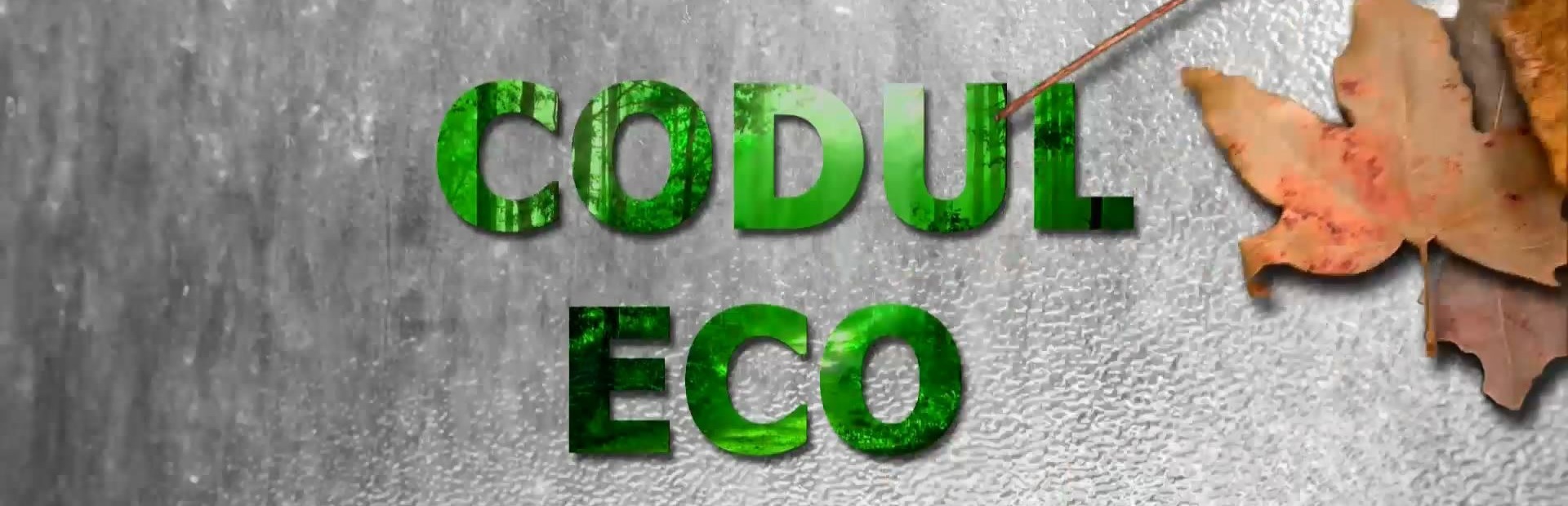 Codul Eco. Emisiune din 24 octombrie 2022